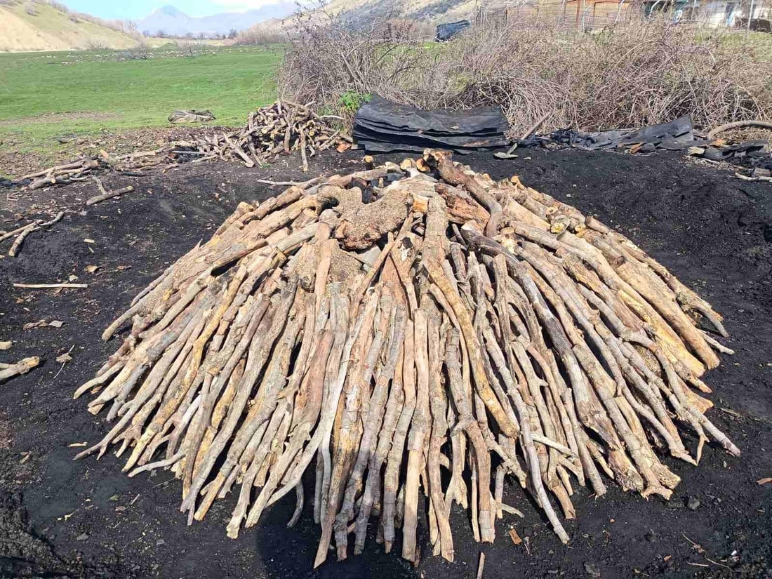 60 داربەڕووی باڵابەرز بڕدرانەوە و کەسێکیش بەتۆمەتی خەڵوزکردن دەستگیرکرا