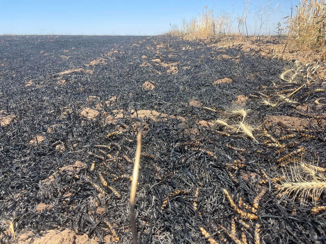 بارهەڵگرێک بوو بە هۆکاری سووتانی 30 دۆنم گەنمی جوتیارێک