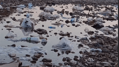 سەیرانگای ئاوە سپی لە خورماتوو بووە بە زبڵخانە