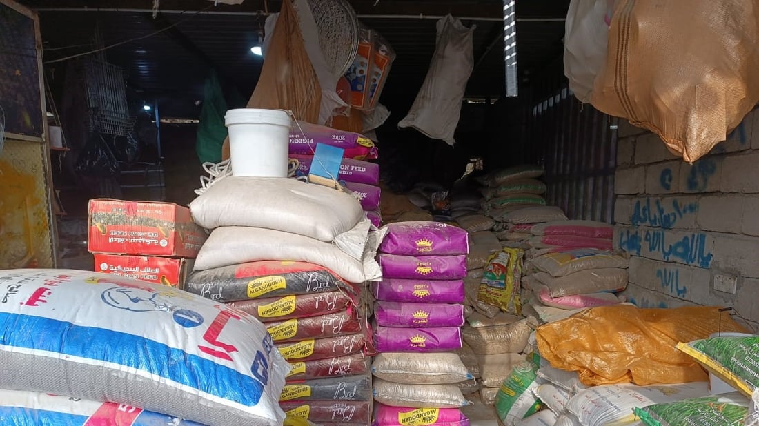 أعلاف البصرة من الكوت وزاخو و”المطيرجية” يحركون السوق.. أسعار أبو الخصيب اليوم