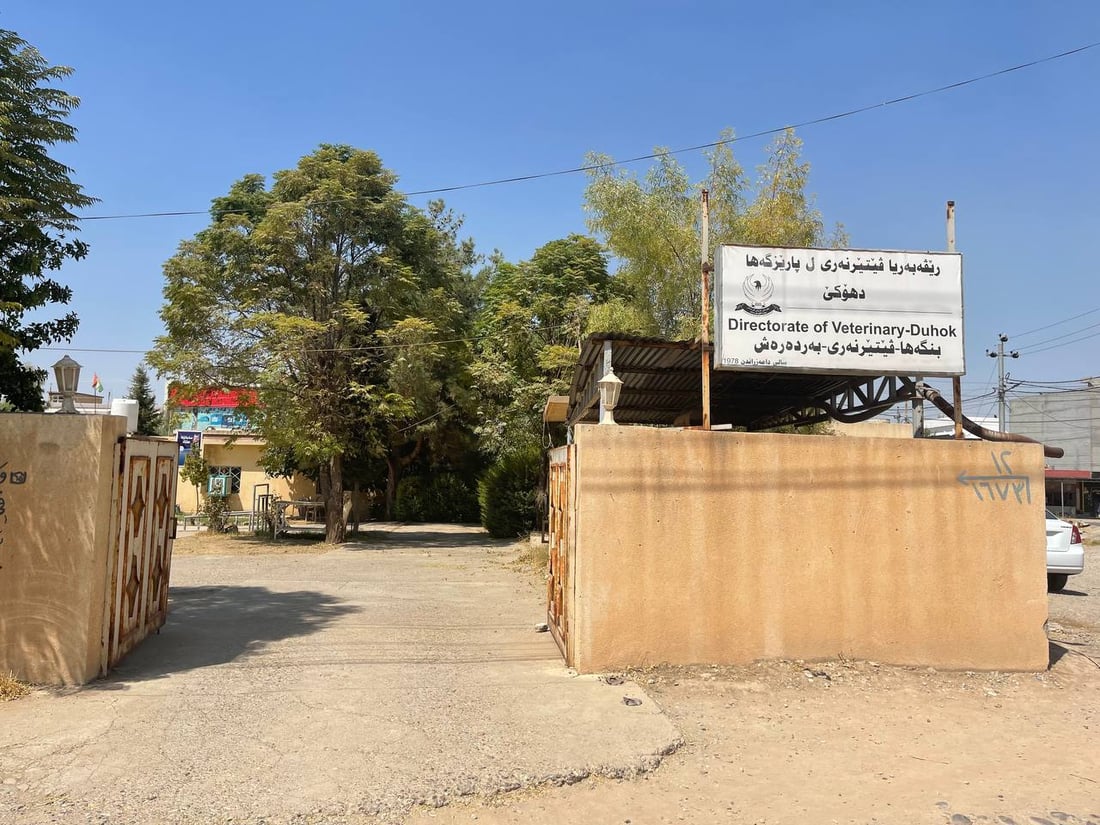 بەڕادە تاقانەکەی ڤێتێرنەری بەردەڕەش فرۆشرا