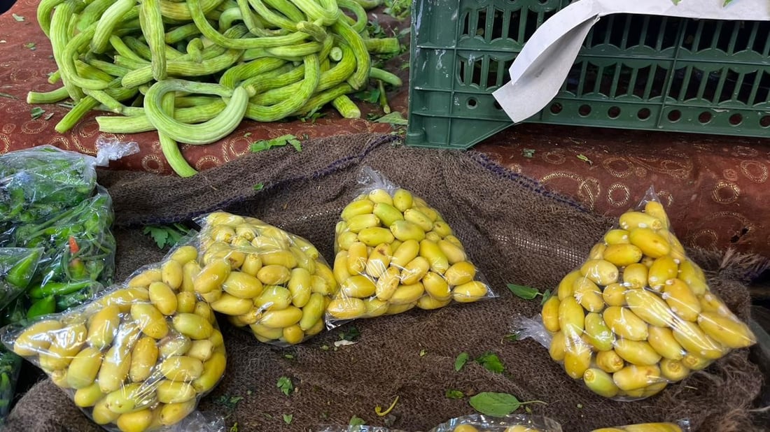 صور: قطفة “البشرى” وصلت سوق العشار.. موسم الرطب بدأ والكيلو بـ 4 آلاف دينار