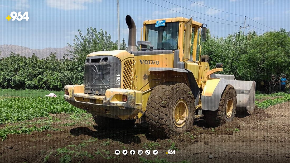 رانیە: ئه‌و كێڵگه‌ سه‌وزانه‌ى به‌ ئاوى پیس ئاوده‌دران تێكدران