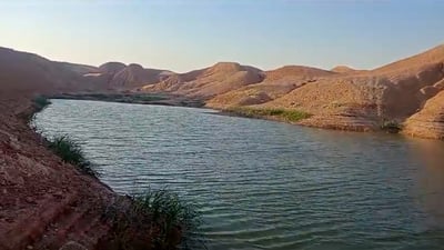 هيوا يجمع عطاشى الذئاب والغزلان قرب بحيرة صنعها وسط الصحراء