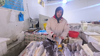 زبيدي وهامور ونويبي في علوة الفاو.. الصيادون عادوا بـ 26 طناً