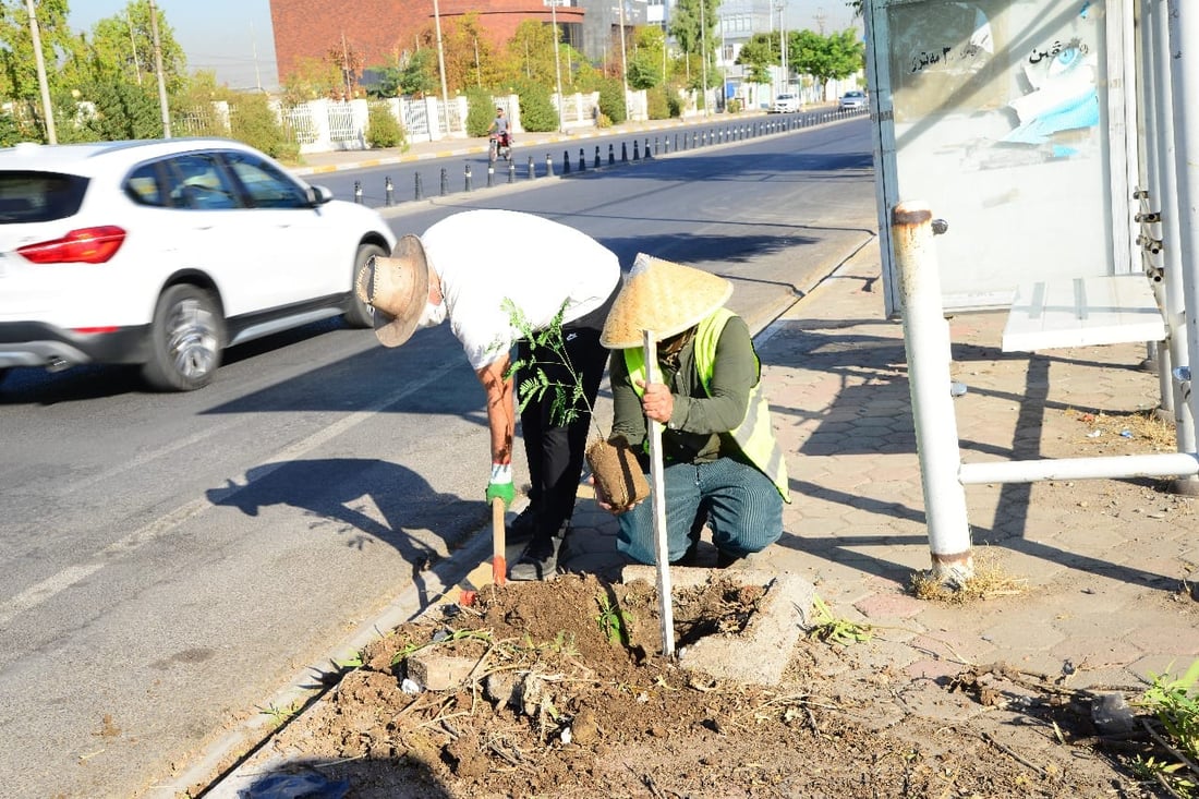 شەقام بە شەقام لەهەولێر دار دەچێندرێت