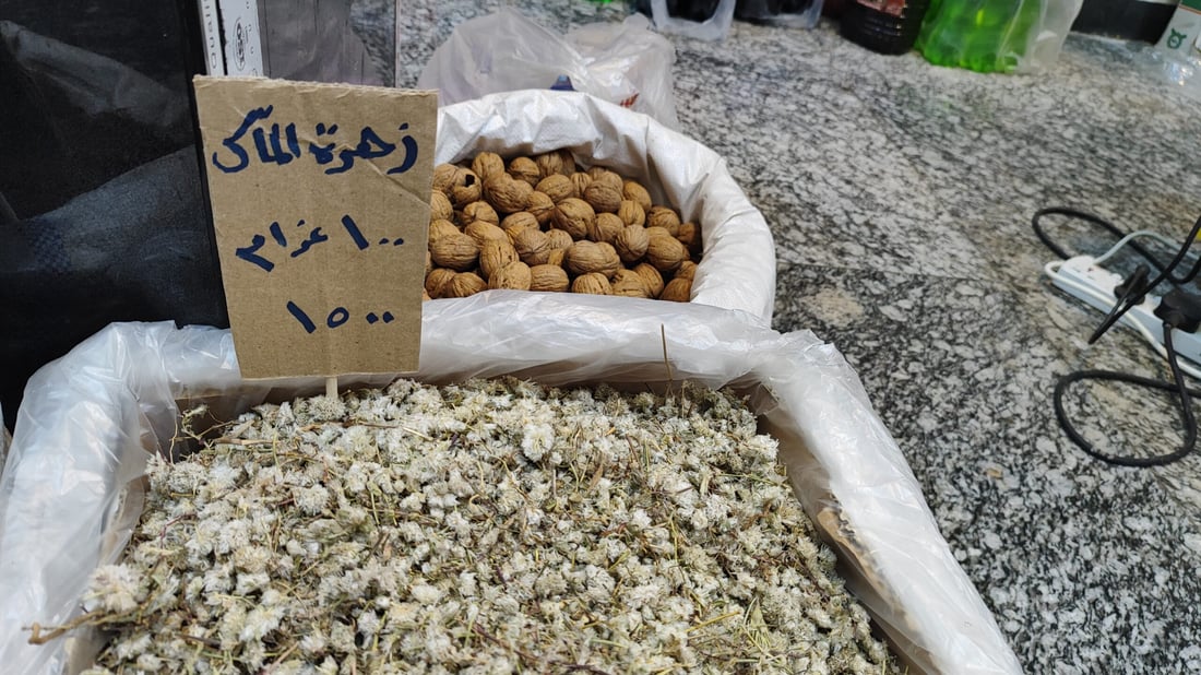 السوريون في كربلاء كأنهم في الوطن.. “سيدة الشام” سيوفر حتى سجائر “الحمراء” (صور)