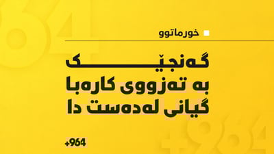 هاوڵاتیيەک لەکاتی چاککردنەوەی کارەبای ماڵەکەیان گیانی لەدەست دا