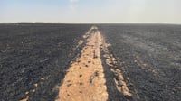 فيديو: طوزخورماتو تسيطر على حريق المحاصيل.. 
