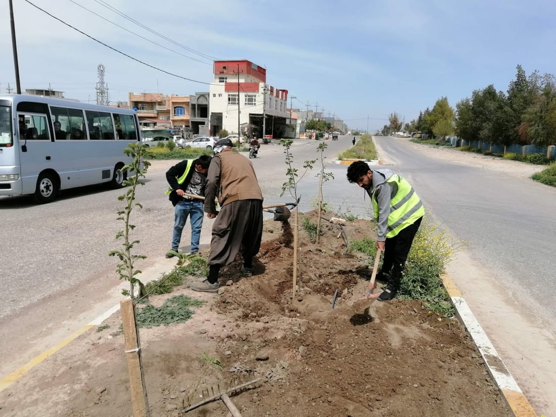 دار و گوڵەكانی جووت سایدی بنەسڵاوە سەرپەلكران
