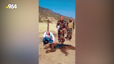 فيديو: دب عملاق يتعثر بالأسلاك الشائكة في زاخو ويحظى بعلاج للجروح والعطش