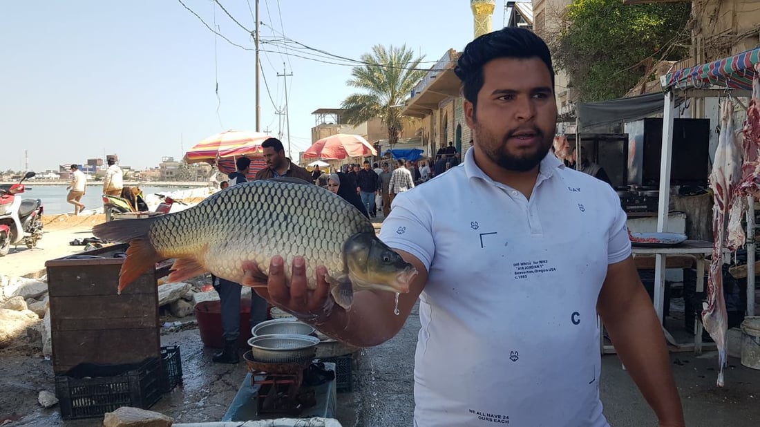 حملة بدأها القصابون.. أسواق المسيب خفضت الأسعار في رمضان (صور)