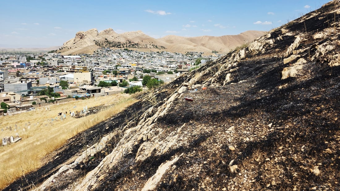 Three arrested over mountain fire near Said Sadiq that damaged trees and vegetation