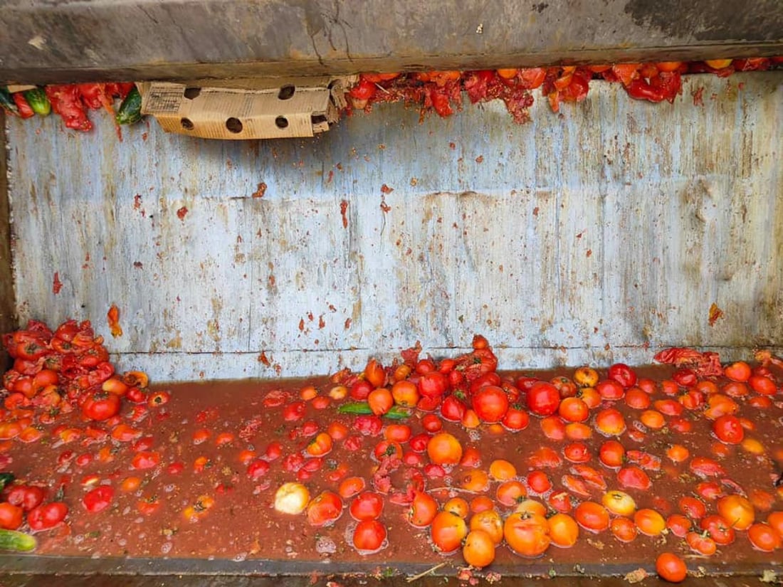 لە هەڵەبجە دەست بەسەر زیاتر لە 300 کیلۆ تەماتەدا گیرا