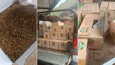 قەزوانی ئێرانی دەستیبەسەردا گیرا و رەوانە دەکرێتەوە