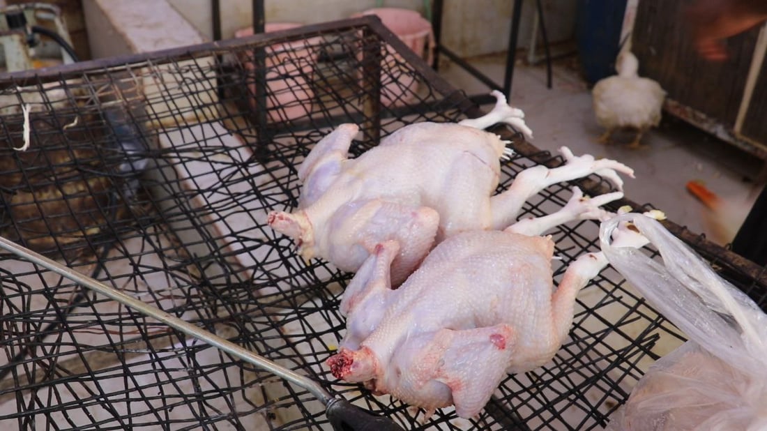 صور: الدجاج في كركوك أرخص بفارق 1000 دينار رغم طلبات العيد