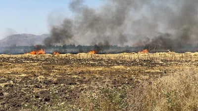 بەرگریی شارستانی راپەڕین: 104 رووداوی جۆراوجۆرمان هەبووە