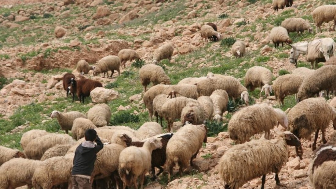 المثنى: غرق راعي أغنام من مواليد 2009 أثناء السباحة في نهر “النجمي”