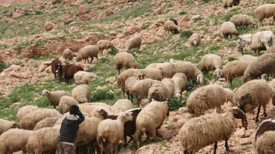 المثنى: غرق راعي أغنام من مواليد 2009 أثناء السباحة في نهر “النجمي”