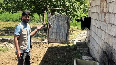 ژینگه‌ى هه‌ڵه‌بجه‌ بەخێوکردنی ئاژەڵ لە ناوشاردا به‌بێ مۆڵه‌ت قبوڵ ناكات