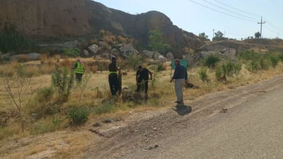 Volunteers plant 150 palm trees near Kifri dam in community-led greening effort