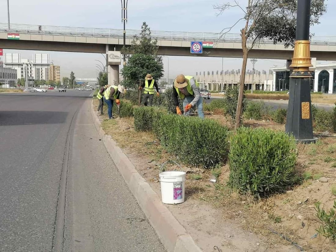 صور: أربيل تضع اللمسات الأخيرة على حملتها الكبرى لتقليم أشجار المدينة