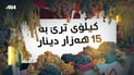 ترێی لێیە یەک کیلۆی بە 15 هەزار دینارە
