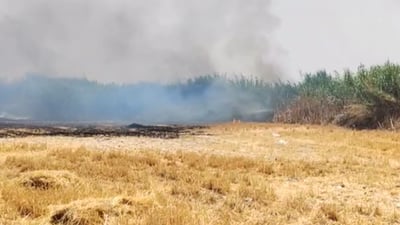 دارستانی سەر رووباری سیروان ئاگری گرتووە