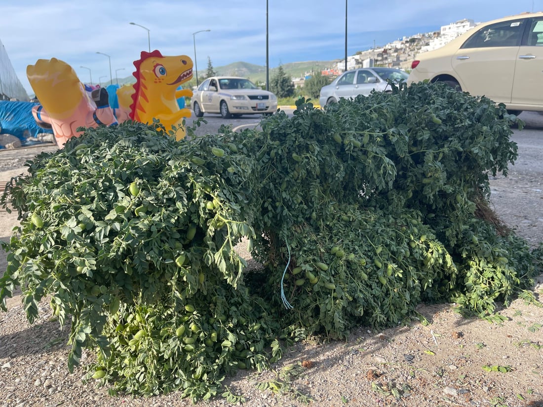 نۆبەرەی فەریکە نۆکەکەی گەرمیان لە بازاڕی سلێمانییە