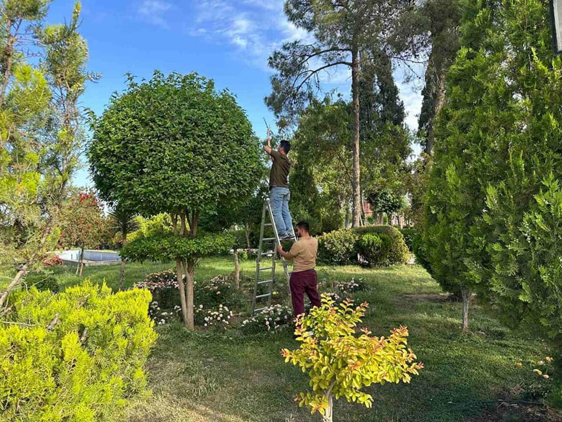 لە سەرەتای ساڵەوە تا مانگی پێنجی 2023، لە زیاتر لە 77 هەزار گوڵ و دار لە سەنتەری شاری هەولێر چێندراون و رۆژانەش 240 ئامێر و مەكینەی جۆراوجۆر كاری بڕینەوە و خزمەتكردنی ناوچە سەوزاییەكان دەكەن.