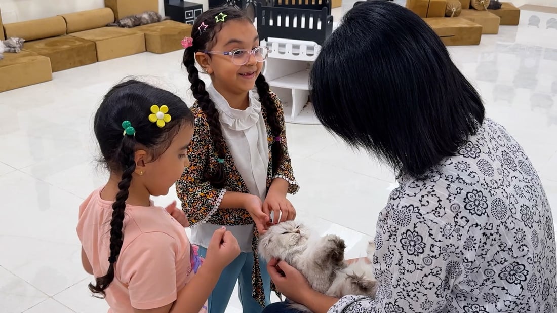Cat café opens in Baqubah, offering safe space for pet lovers