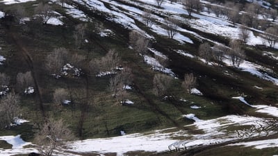 پێشبڕکێی ئۆف رۆد لەوەڕگاکانی پێنجوێنی تێکداوە