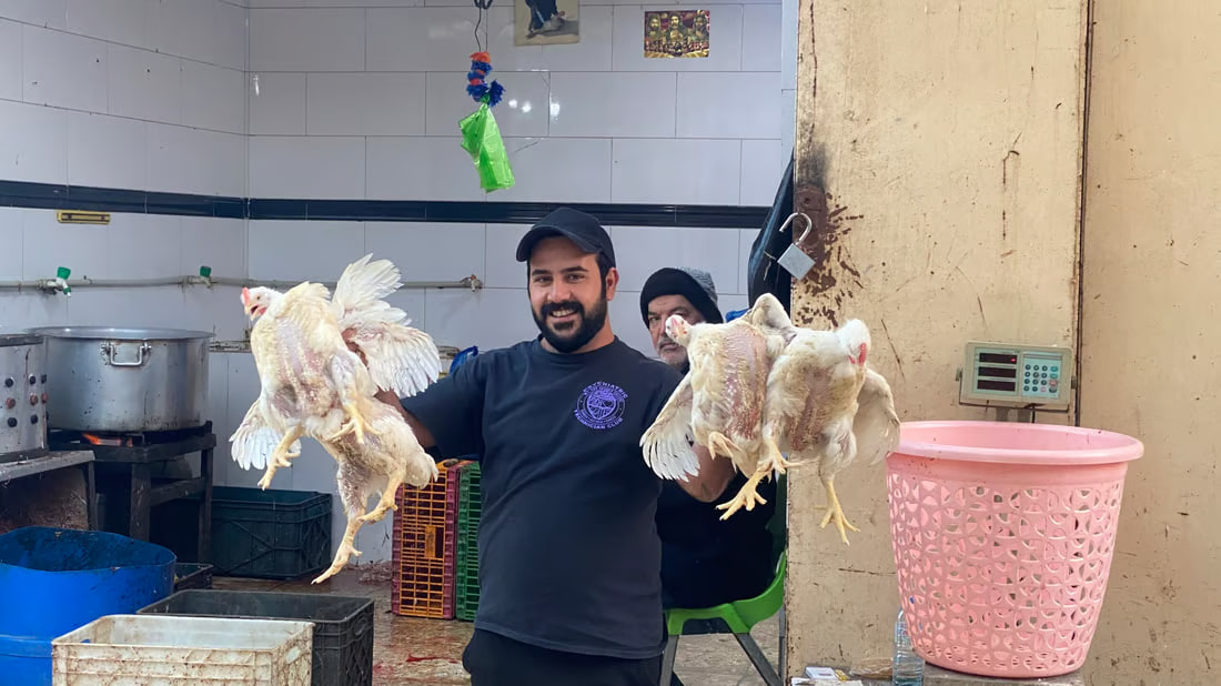 Insight from Basra’s poultry market shows local preferences and pricing dynamics