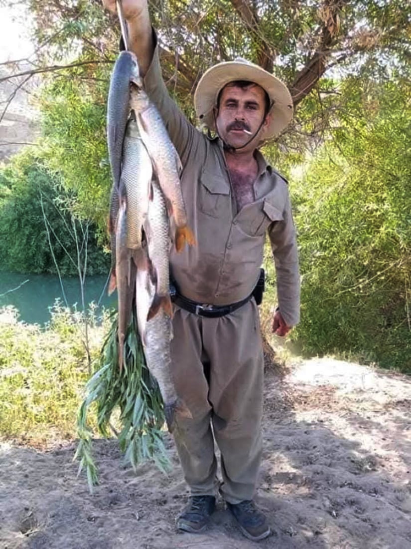 چه‌مى ئاوه‌سپی ماسی گه‌وره‌ى لێ په‌یدا بووه‌