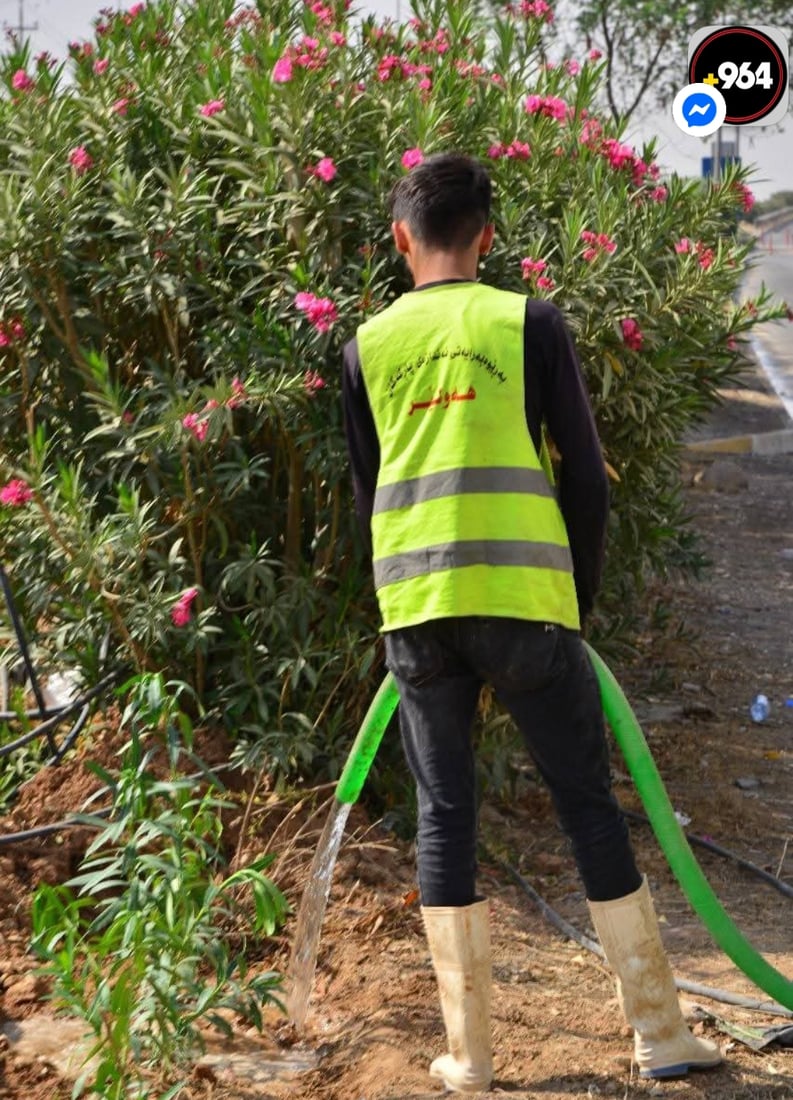 شه‌قامی 120 مه‌تری هەولێر سه‌وزتر ده‌كرێت