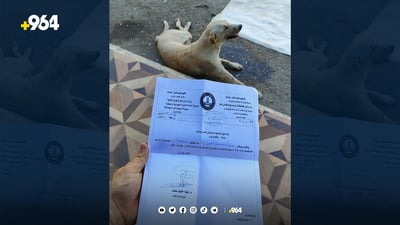 سه‌گه‌ پێكراوه‌كه‌ى شاره‌زوور له‌ سلێمانى چاره‌سه‌ر ده‌كرێت