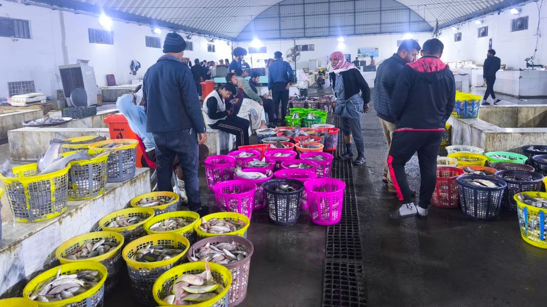 صور: 30 طناً من السمك في مرسى النقعة.. “خلي الفقير ياكل”