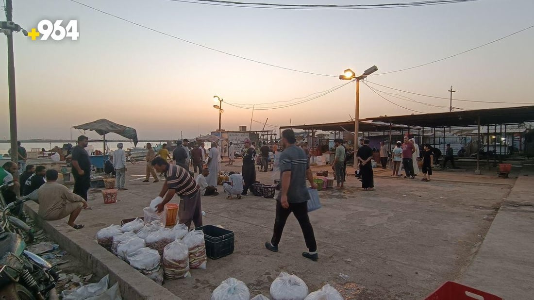 صور من بحر العراق اليوم: صيادو الفاو يملؤون سلالهم بالصبور والمزلگ والنويبي