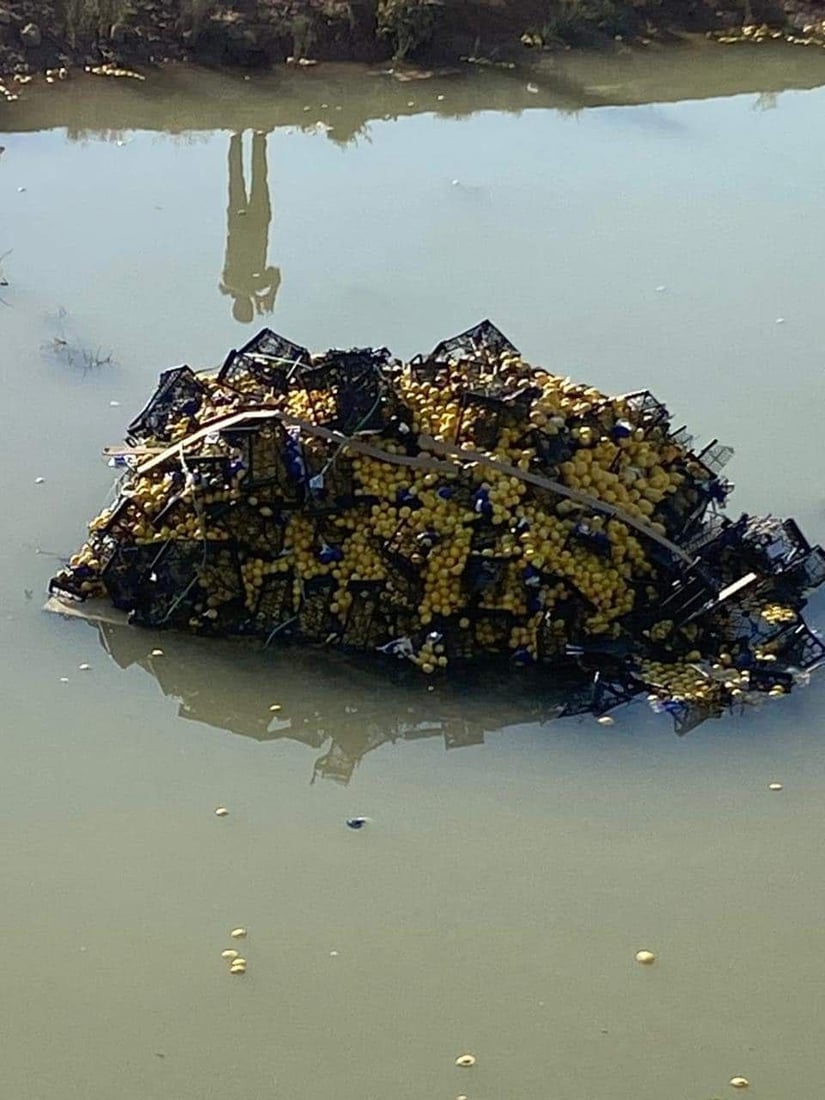 پردی مریەم بەگ بووە بە مۆتەکەی بارهەڵگرەکان