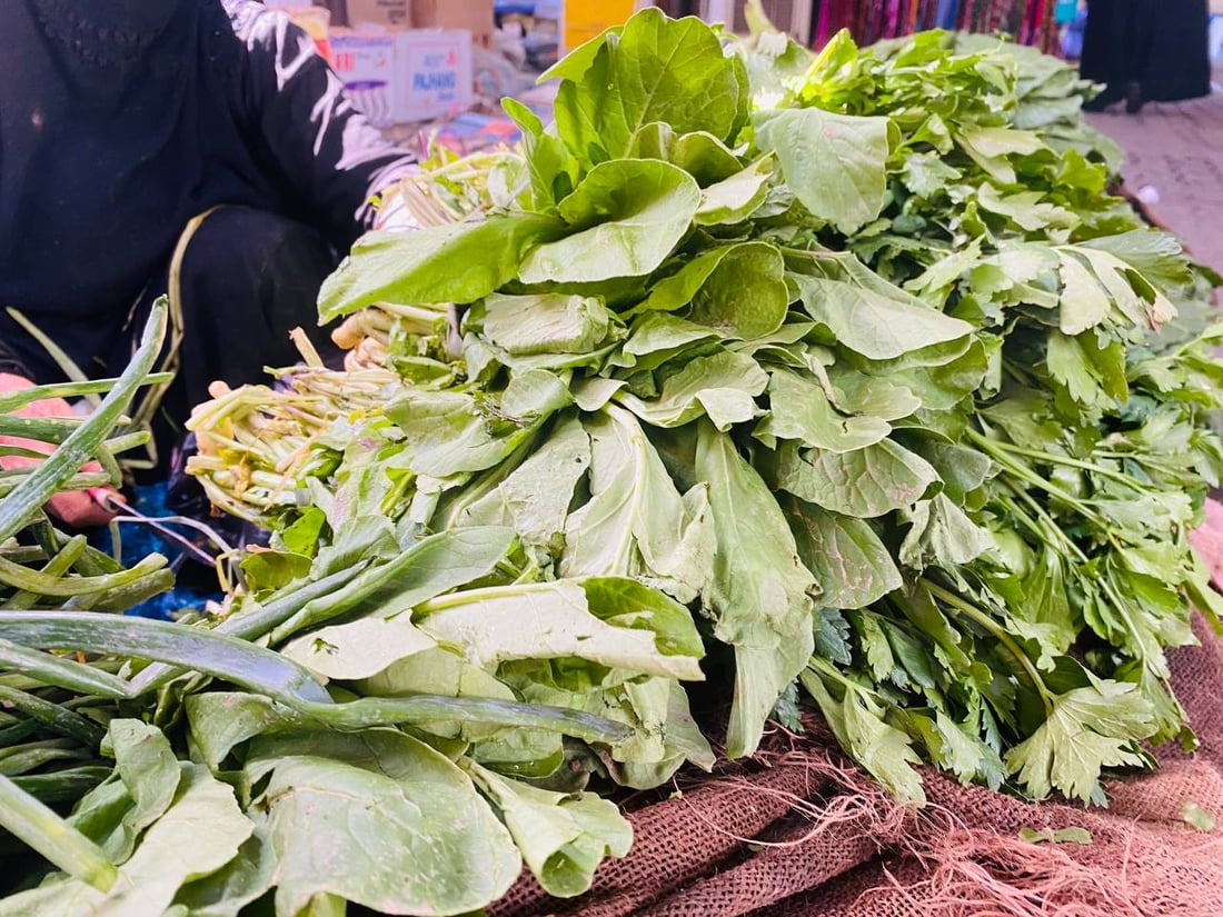إنه الخريف يا باعة “الخضرة”.. العمارة تدبّر الريحان والفجل من بغداد والبصرة (صور)