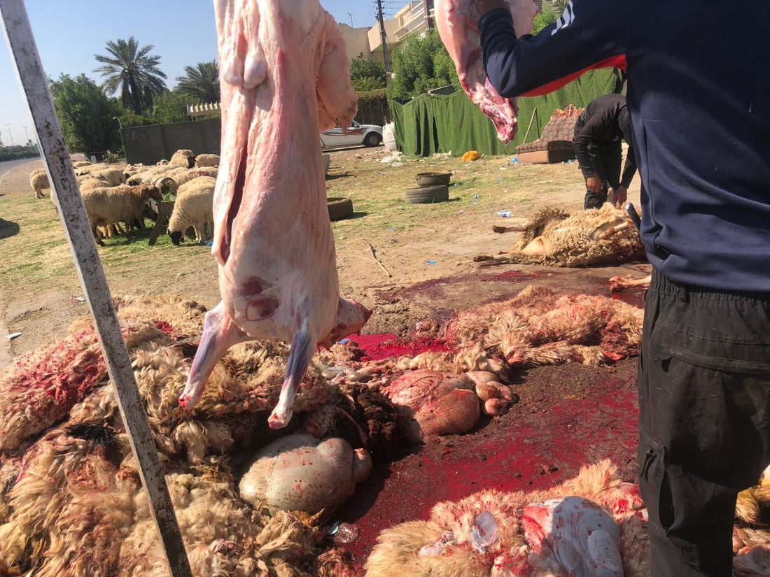 الحمى النزفية “وشيكة” في حي العامل.. مجزرة أضاحي كبرى على الخط السريع (صور)