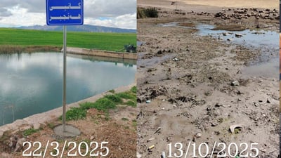 کانی هەنجیر؛ گەورەترین کانی ناحیەی باسرمە چۆڕەبڕ بوو