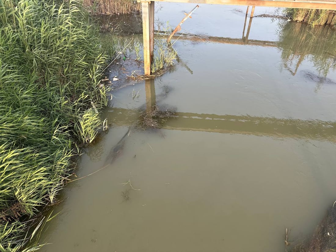 (صور) بسبب الشمبلان وقلة الإطلاقات.. عفك بلا ماء منذ يومين إثر توقف محطة الإسالة