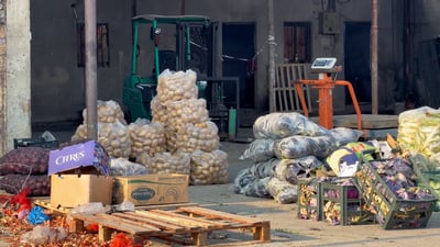 علوة البصرة بلا طماطة.. تجار الجنوب يشكون إغلاق الشلامجة وارتفاع الأسعار