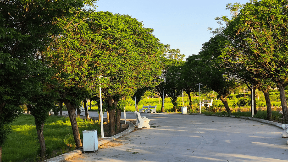 رێکخراوێک لە شارەزوور پارکەکان پاکدەکاتەوە و سەلەی خۆڵ دادەنێت