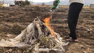 نیشانەی کۆتاییهاتنی وەرزی کشتوکاڵ دیاری دا