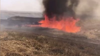 نزیکەى 50 دۆنم پووش و پاوان سووتا