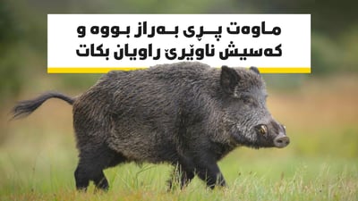 ماوه‌ت پڕى به‌راز بووه‌ و كه‌سیش ناوێرێ راویان بكات    
