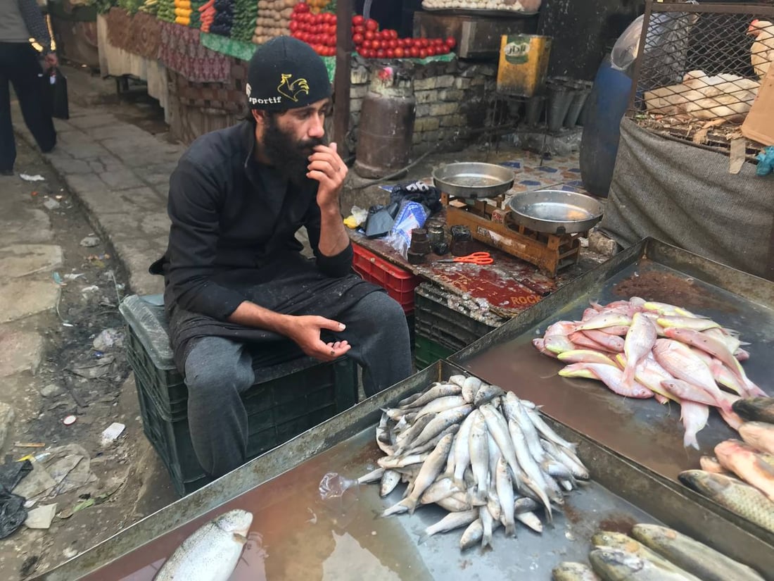 بحري النقعة ونهري البصرة القديمة.. الأسماك أغلى اليوم في سوق الزبير (صور)