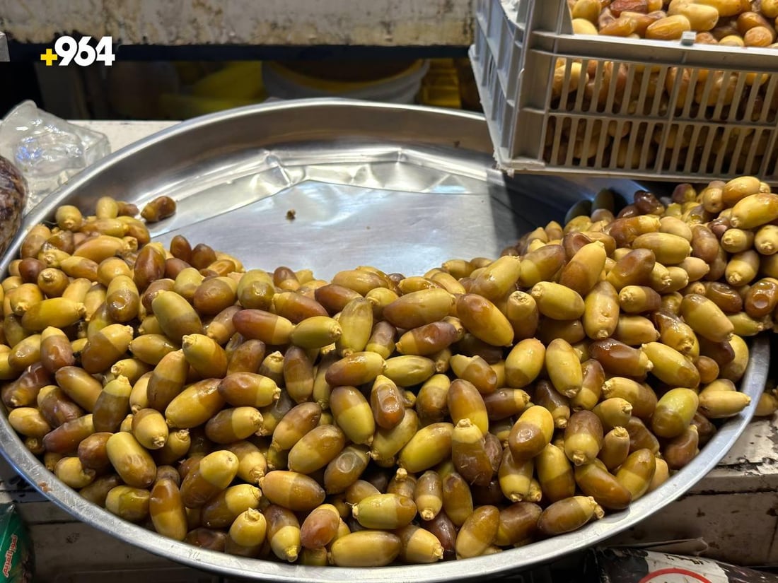 صور: نخيل الحي والنعمانية يطرح ثماره بكثافة.. 8 أصناف والأسعار تنخفض في الكوت